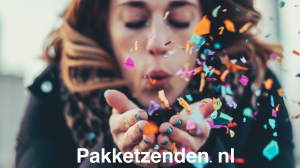 Logo Pakketzenden.nl